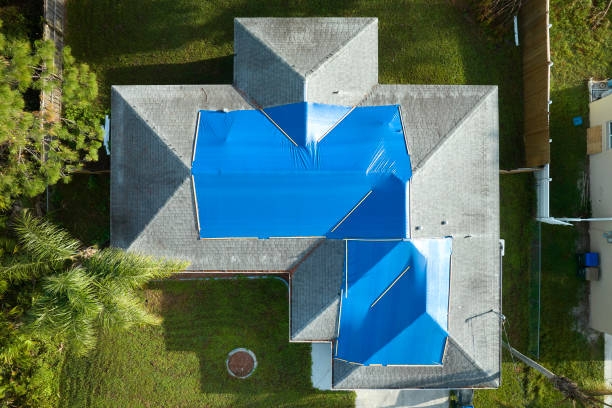 Best Solar Panel Roofing Installation  in Ilco, WA